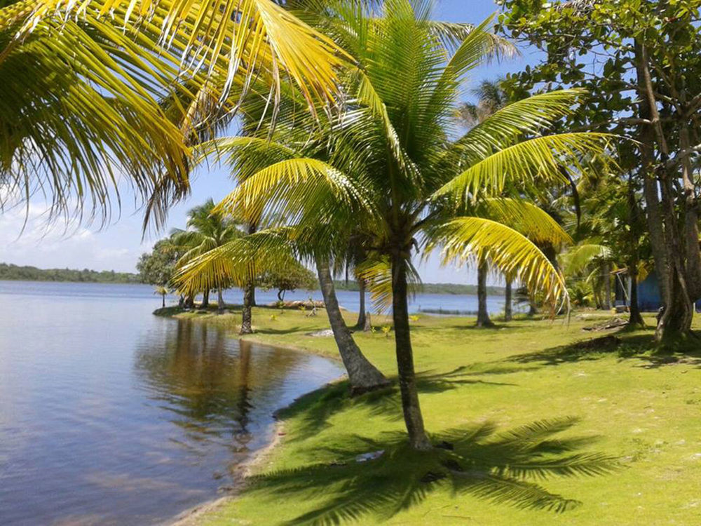 Hotel Htl Tubarao à Barra Grande  Extérieur photo
